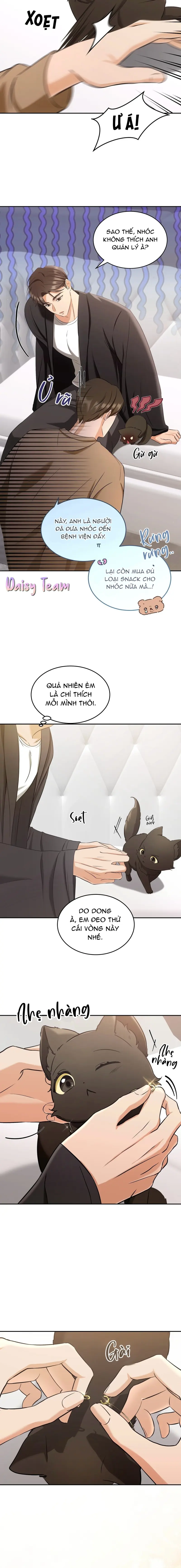 LIỆU PHÁP MÈO Chapter 2 - Next Chapter 3