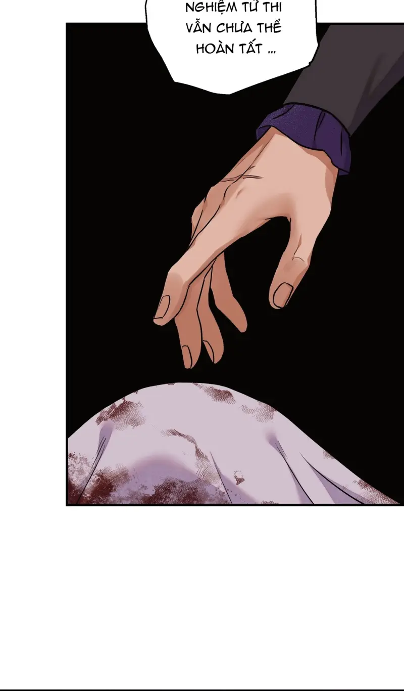 KIẾM HOA Chapter 94 - Next 