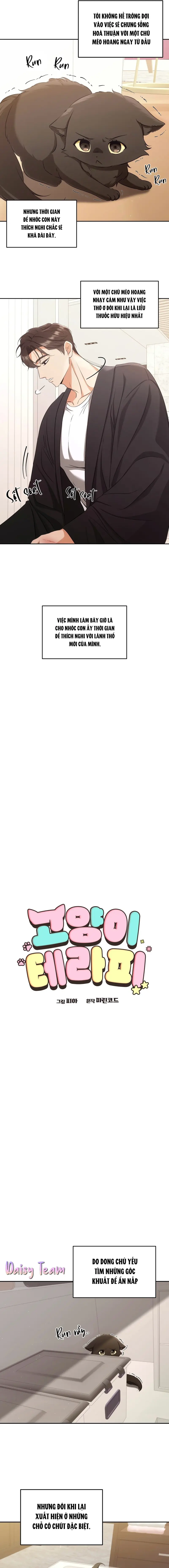 LIỆU PHÁP MÈO Chapter 2 - Next Chapter 3