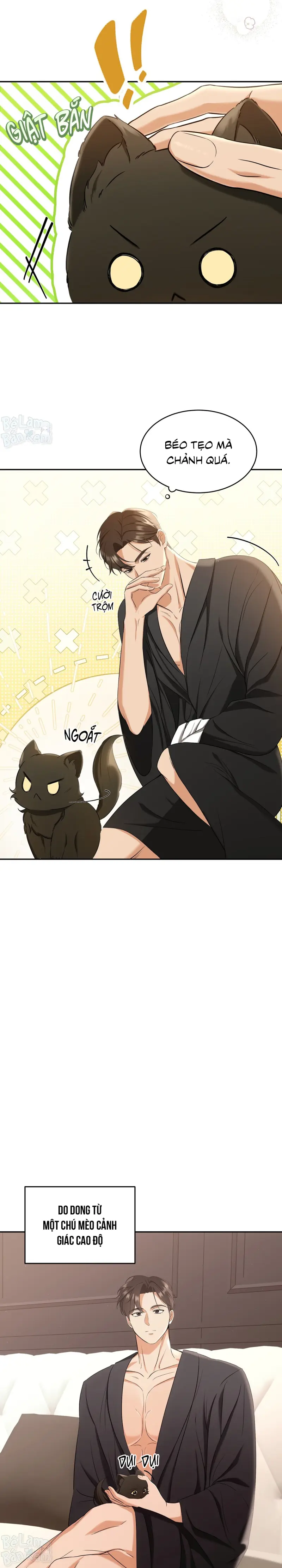 LIỆU PHÁP TRỊ LIỆU MÈO Chapter 2 - Trang 2