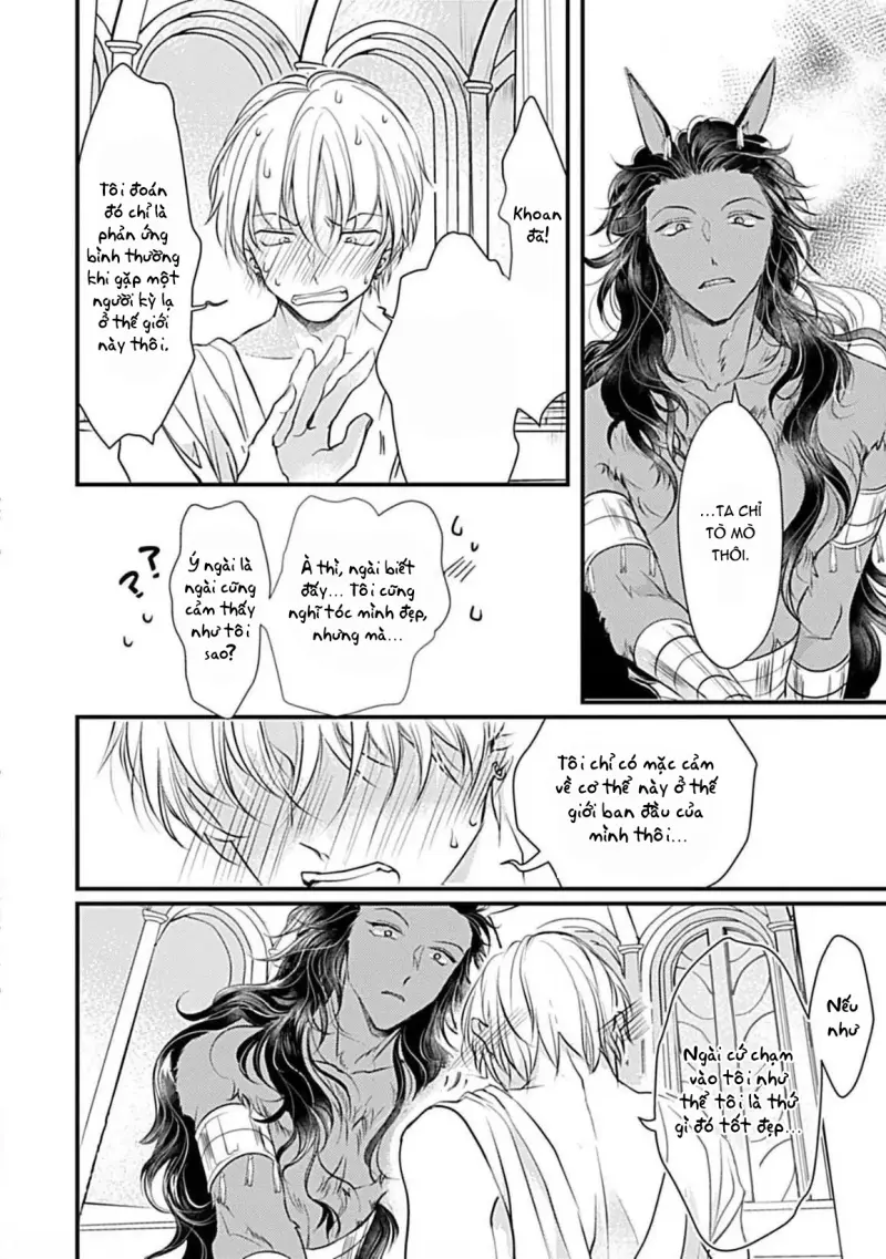 Cục Bông Đáng Yêu Chapter 2 H+ - Next 