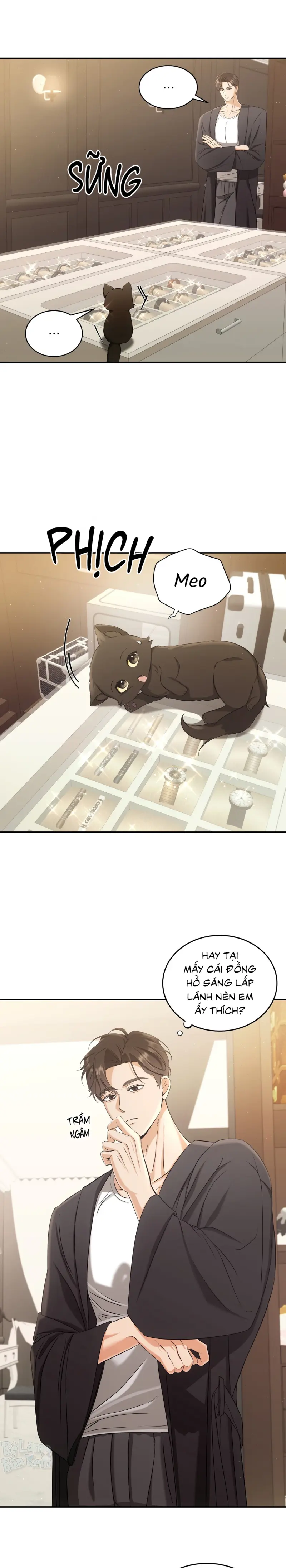 LIỆU PHÁP TRỊ LIỆU MÈO Chapter 2 - Trang 2