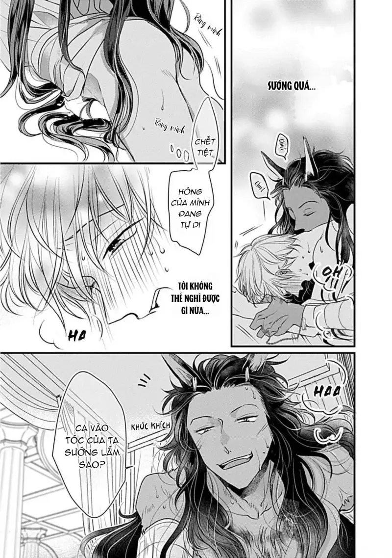 Cục Bông Đáng Yêu Chapter 2 H+ - Next 