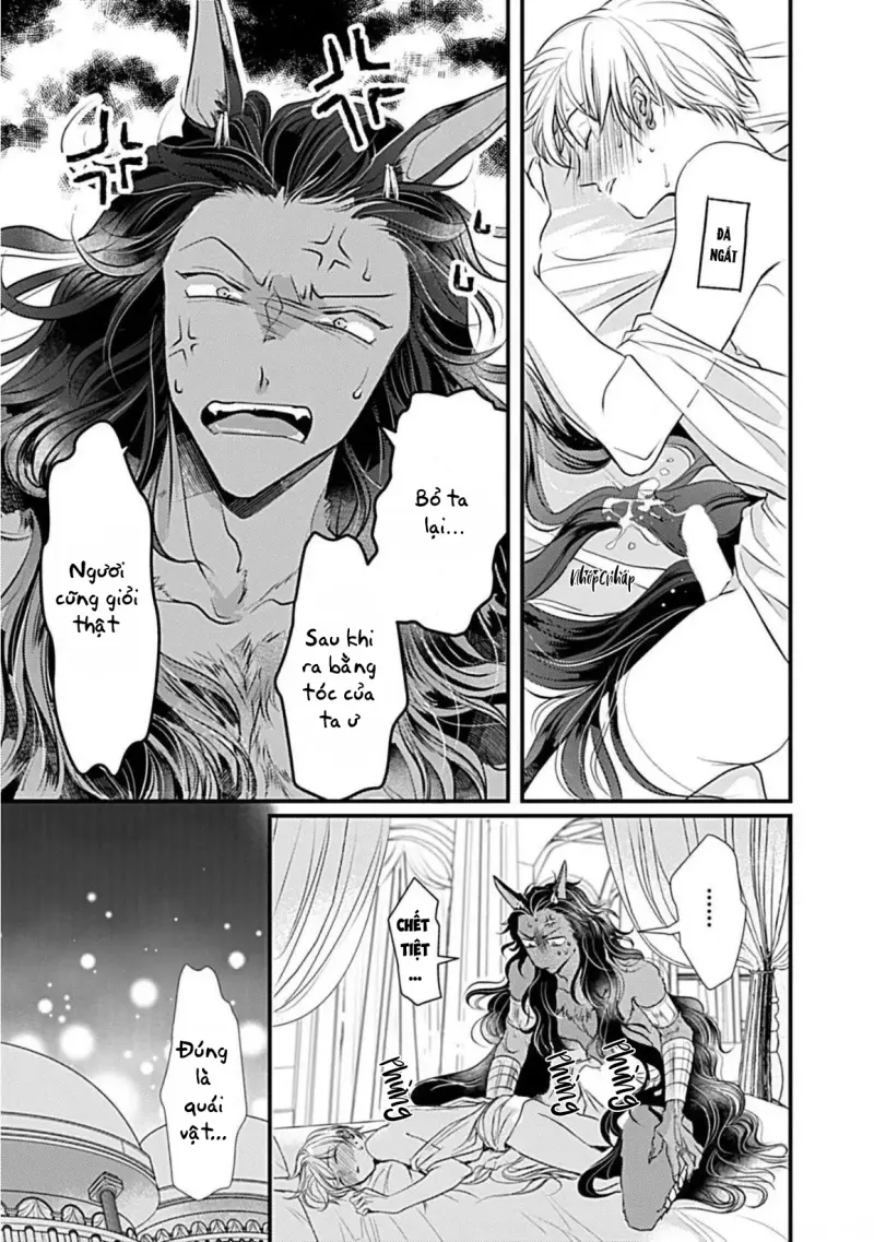 Cục Bông Đáng Yêu Chapter 2 H+ - Next 