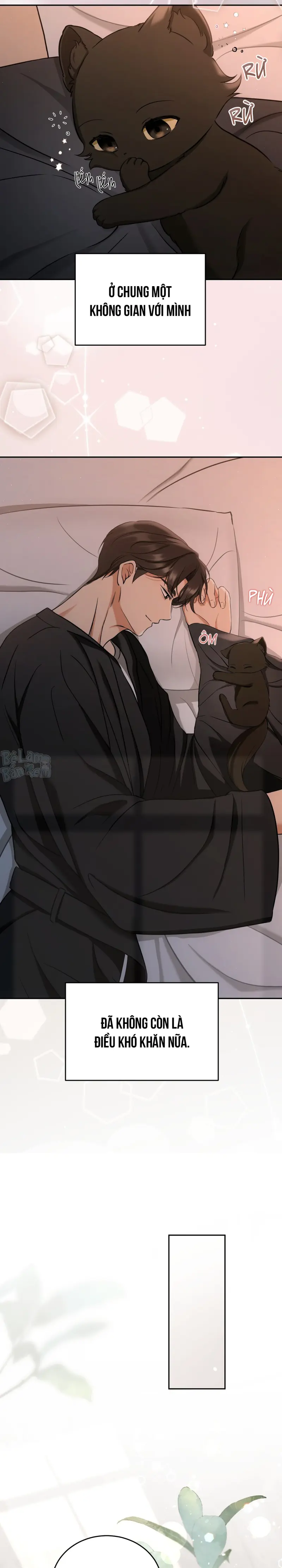 LIỆU PHÁP TRỊ LIỆU MÈO Chapter 2 - Trang 2