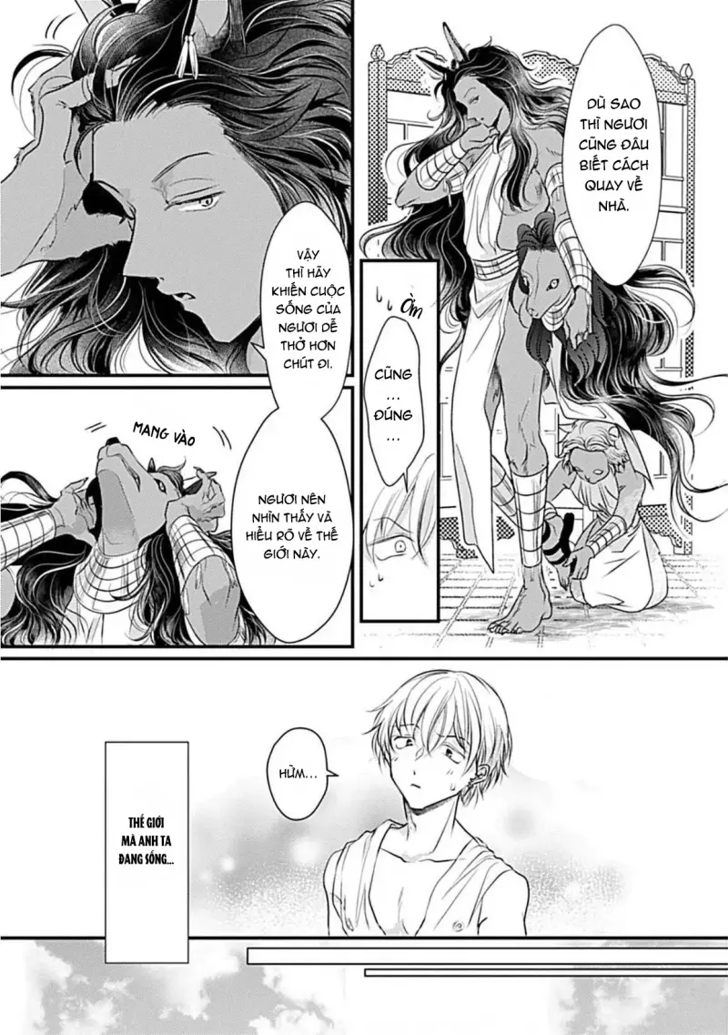 Cục Bông Đáng Yêu Chapter 2 H+ - Next 