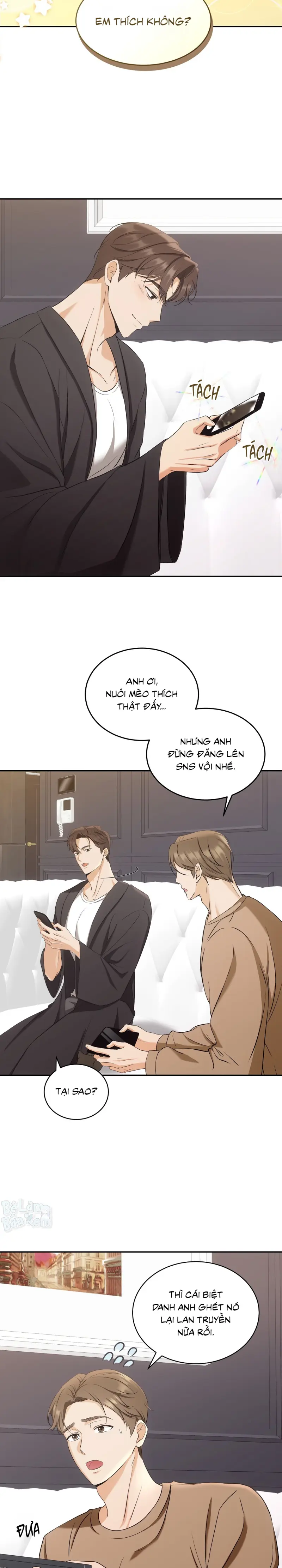 LIỆU PHÁP TRỊ LIỆU MÈO Chapter 2 - Trang 2