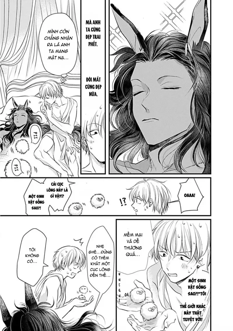 Cục Bông Đáng Yêu Chapter 2 H+ - Next 