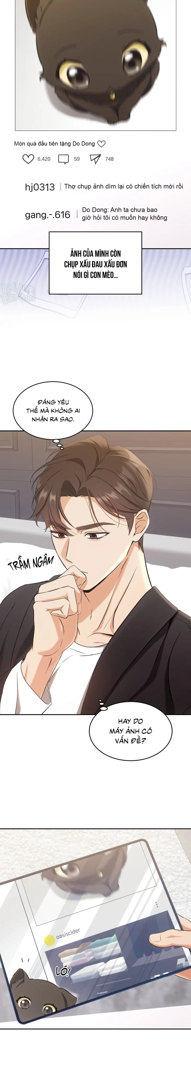 LIỆU PHÁP TRỊ LIỆU MÈO Chapter 2 - Trang 2