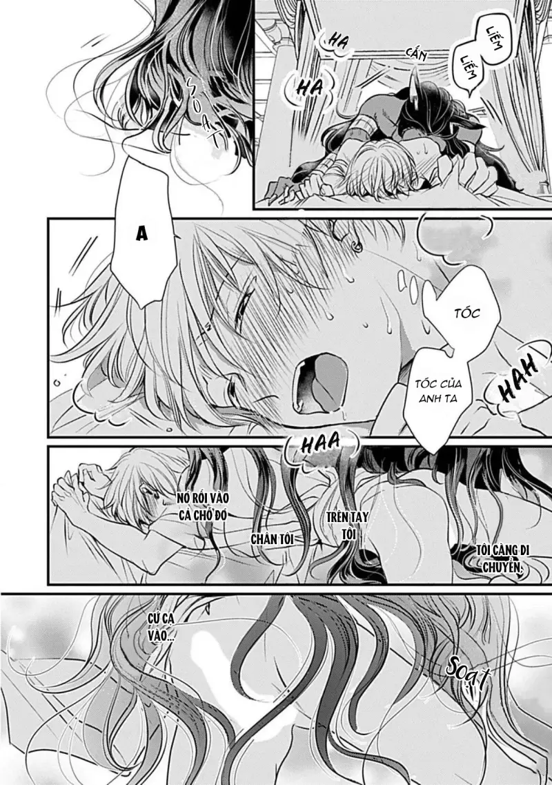 Cục Bông Đáng Yêu Chapter 2 H+ - Next 