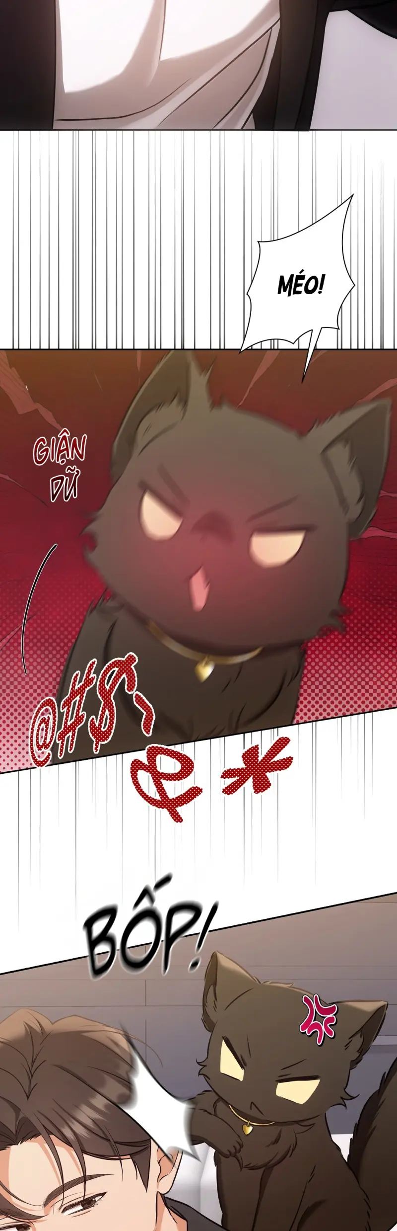 LIỆU PHÁP TRỊ LIỆU MÈO Chapter 2 - Trang 2