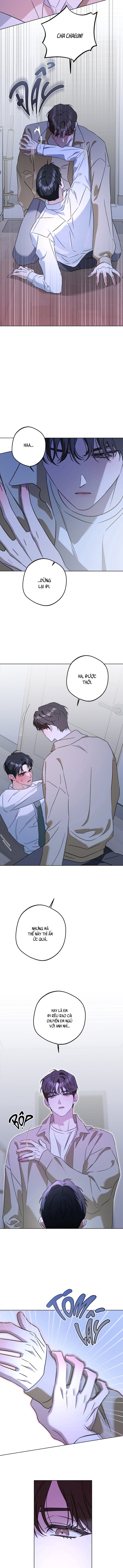 Anh Em Hoà Thuận Chapter 7 H++ - Trang 2