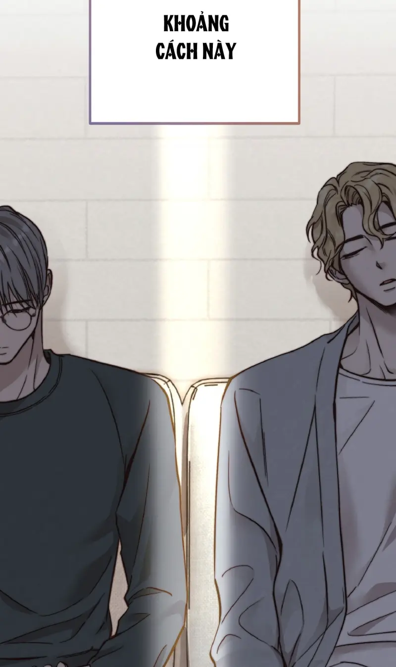 HONEY BEAR Chapter 77 - Next 