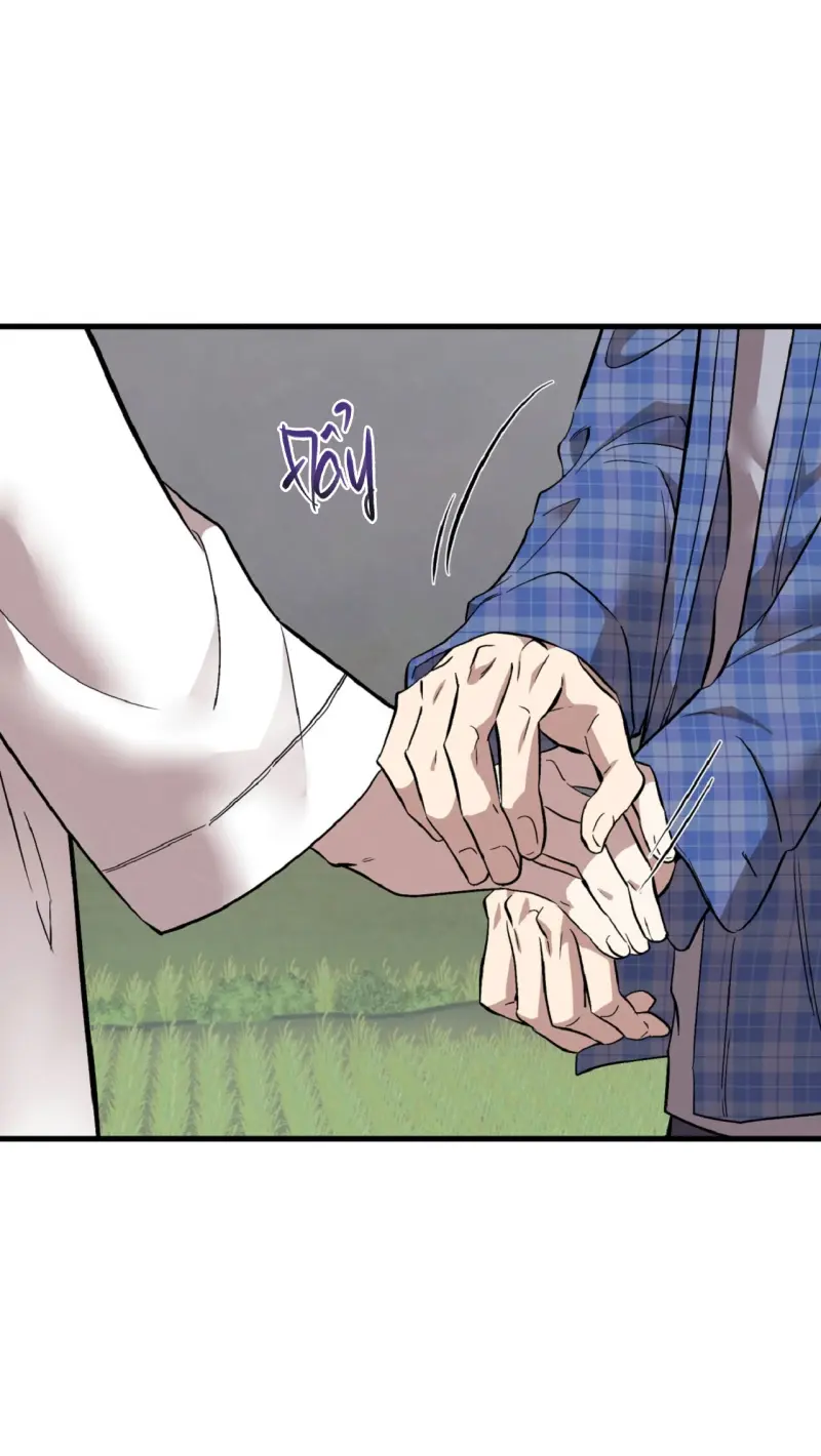 HONEY BEAR Chapter 77 - Next 