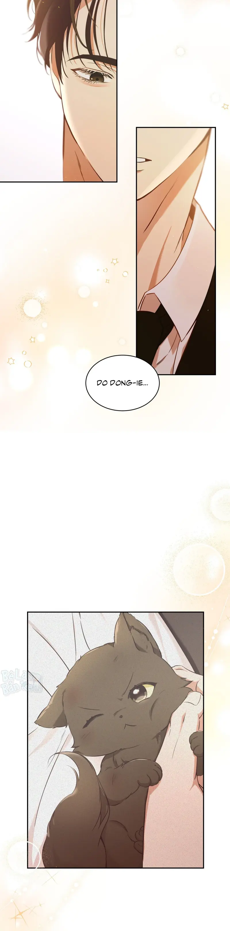 LIỆU PHÁP TRỊ LIỆU MÈO Chapter 1 - Trang 2