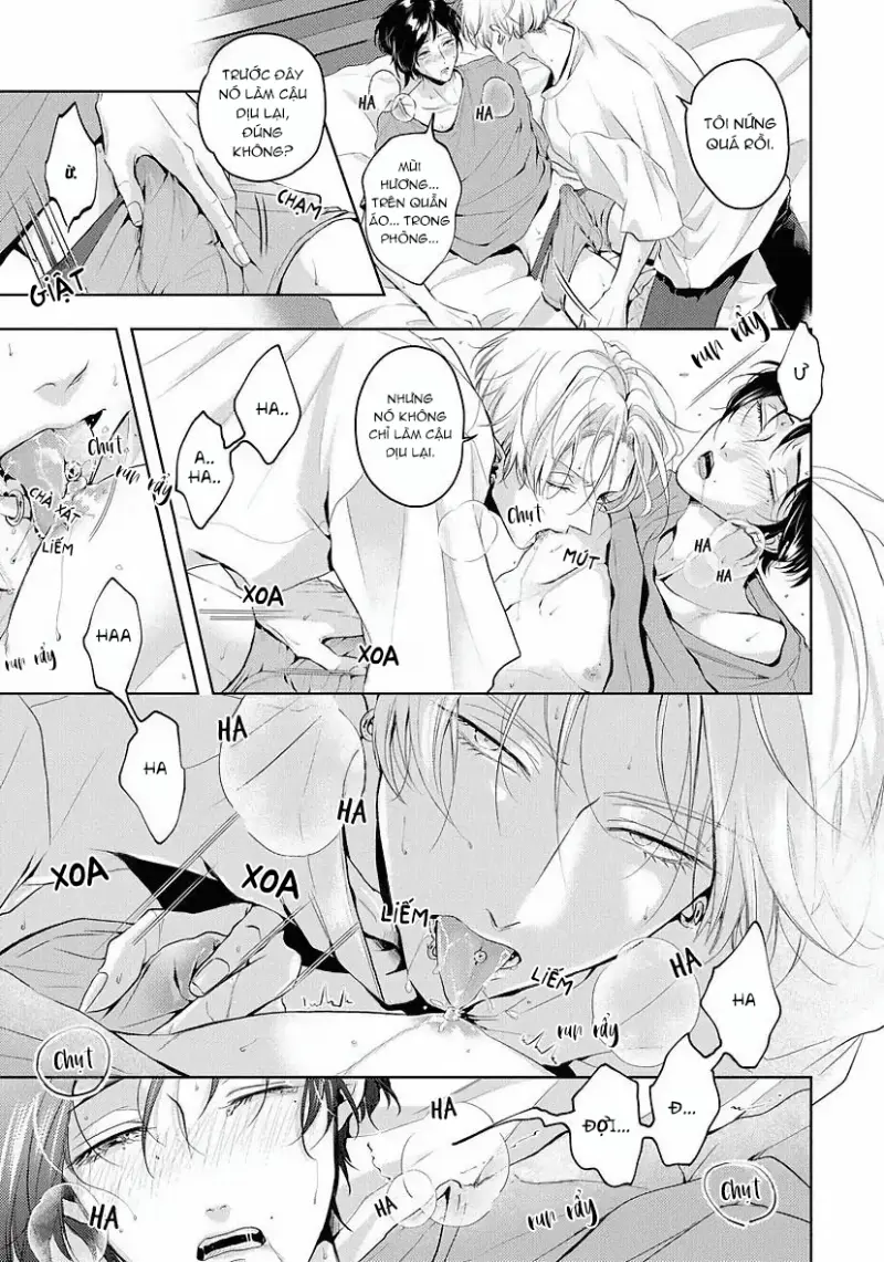 Mùi Hương Khó Cưỡng Chapter 6 H+ - Next 