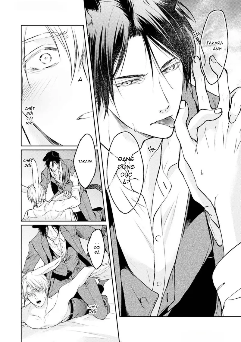 Đã Đến Lúc Cưng Chiều Rồi! Chapter 4 H - Next 