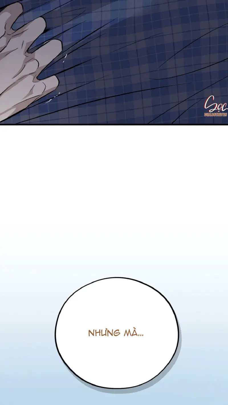 HONEY BEAR Chapter 77 - Next 