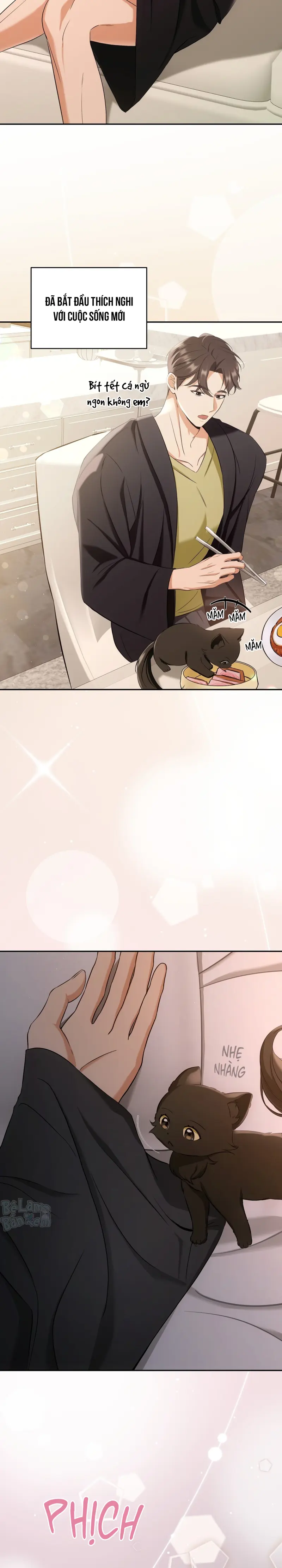 LIỆU PHÁP TRỊ LIỆU MÈO Chapter 2 - Trang 2