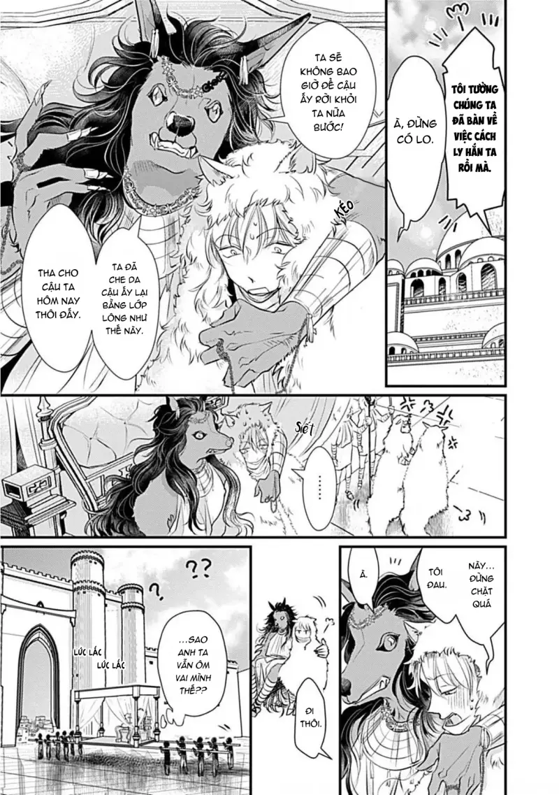 Cục Bông Đáng Yêu Chapter 2 H+ - Next 