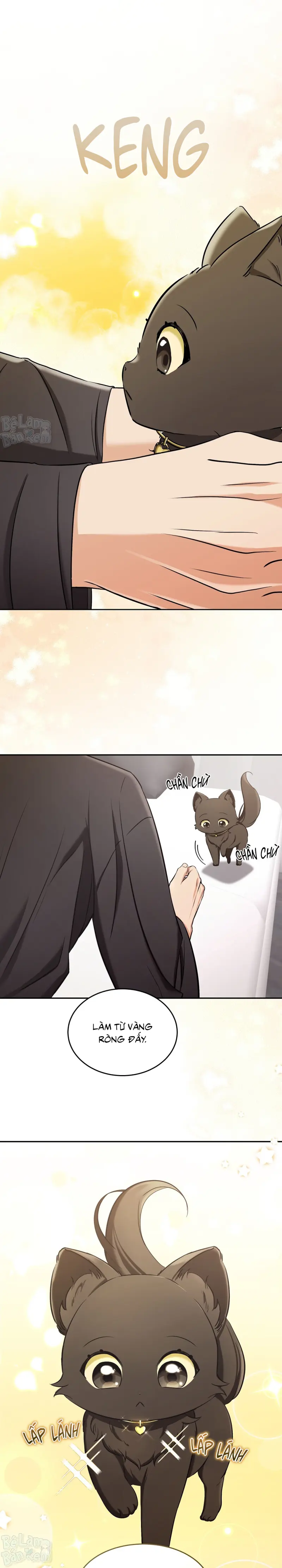 LIỆU PHÁP TRỊ LIỆU MÈO Chapter 2 - Trang 2