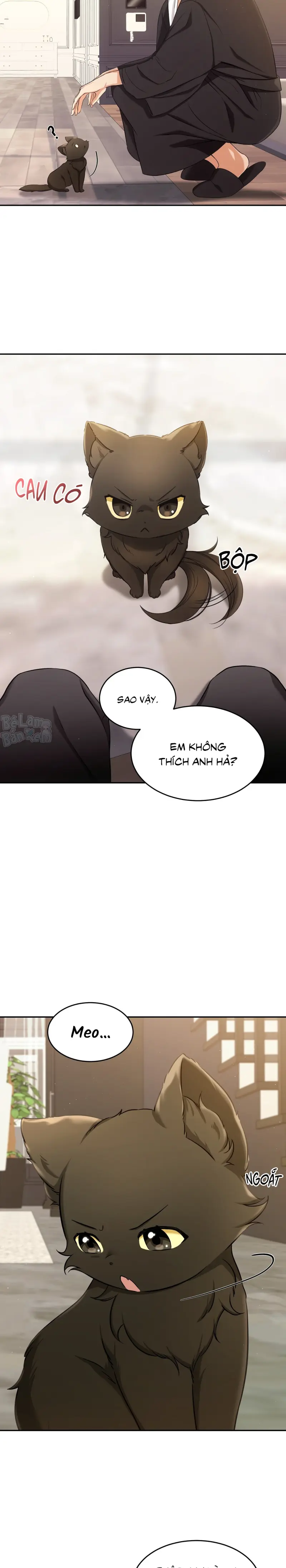 LIỆU PHÁP TRỊ LIỆU MÈO Chapter 2 - Trang 2