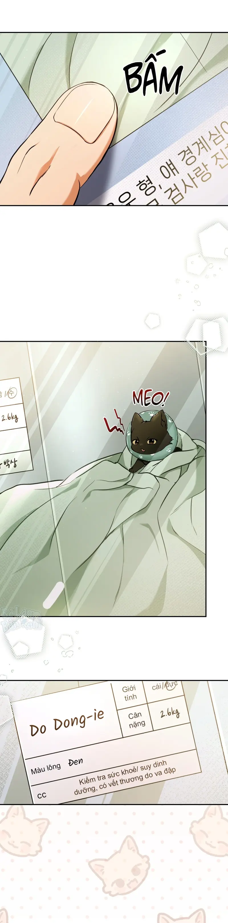 LIỆU PHÁP TRỊ LIỆU MÈO Chapter 1 - Trang 2