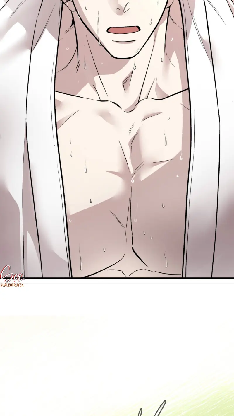 HONEY BEAR Chapter 77 - Next 