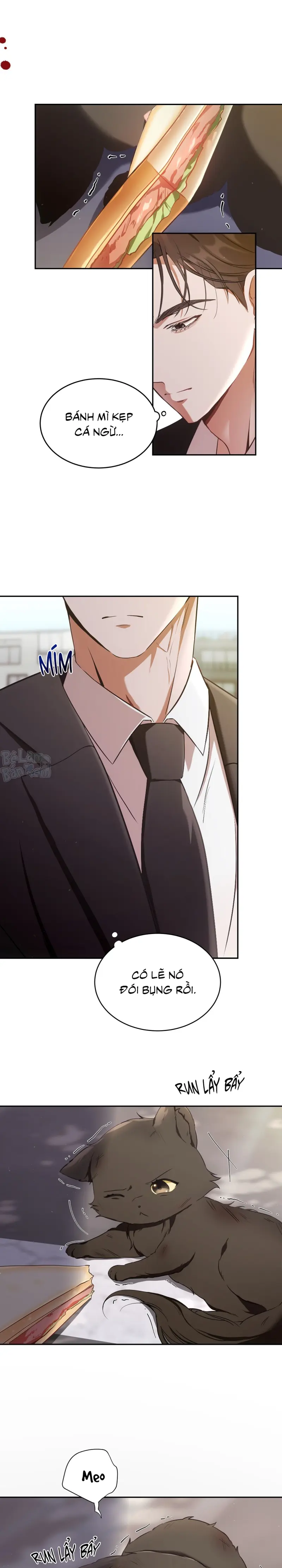 LIỆU PHÁP TRỊ LIỆU MÈO Chapter 1 - Trang 2