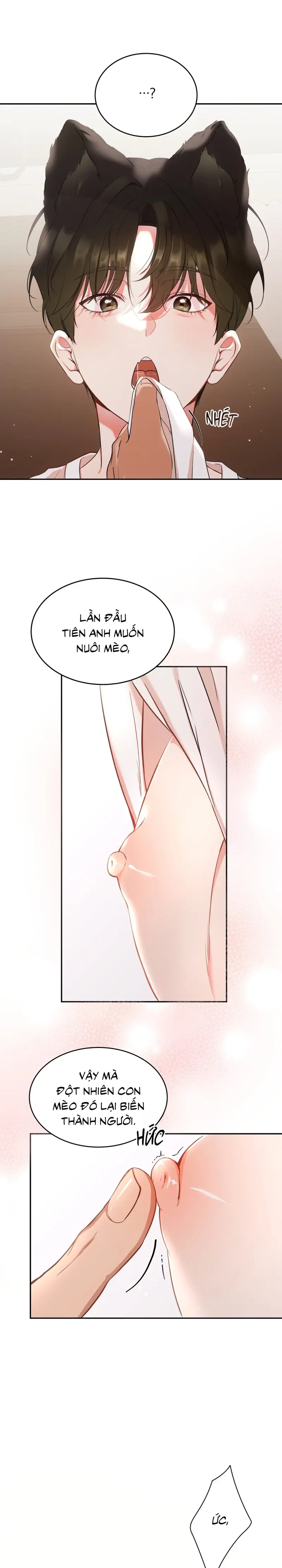 LIỆU PHÁP TRỊ LIỆU MÈO Chapter 1 - Trang 2