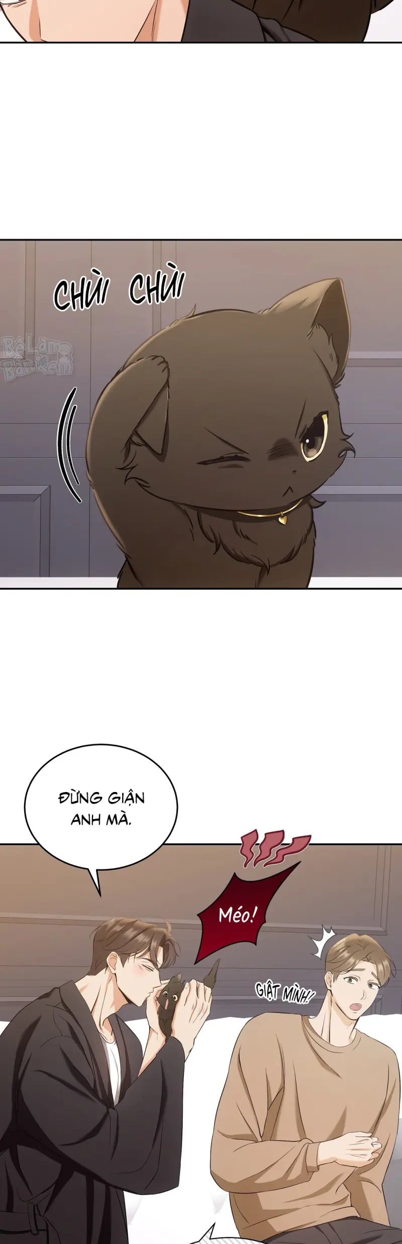 LIỆU PHÁP TRỊ LIỆU MÈO Chapter 2 - Trang 2