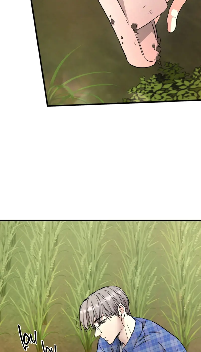 HONEY BEAR Chapter 77 - Next 