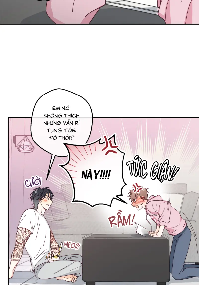 NGƯỜI HÀNG XÓM QUYẾN RŨ CỦA TÔI Chapter 7 - Next Chapter 8