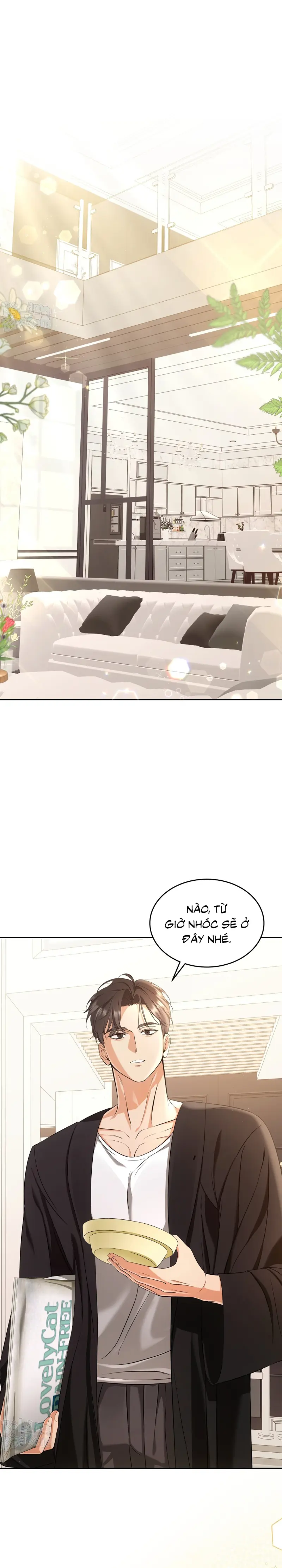 LIỆU PHÁP TRỊ LIỆU MÈO Chapter 2 - Trang 2