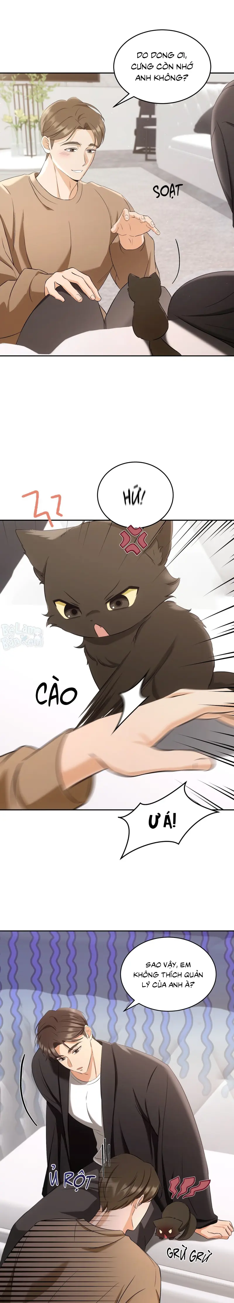 LIỆU PHÁP TRỊ LIỆU MÈO Chapter 2 - Trang 2