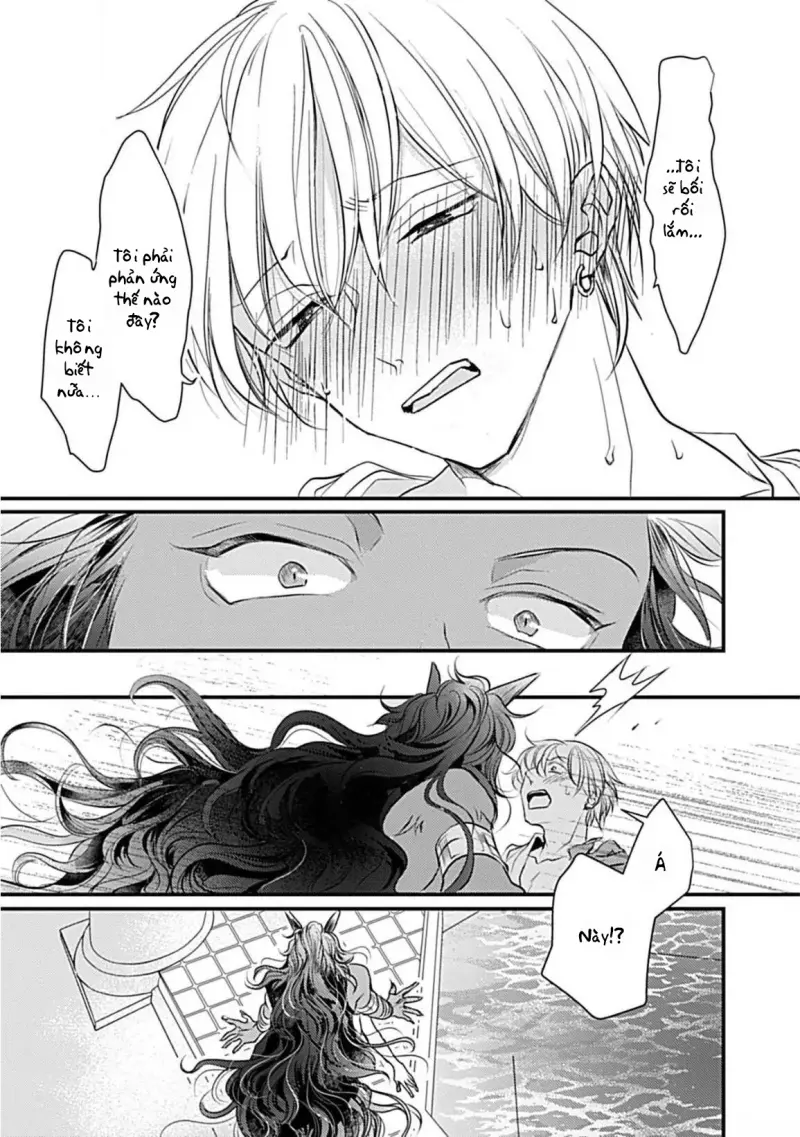 Cục Bông Đáng Yêu Chapter 2 H+ - Next 