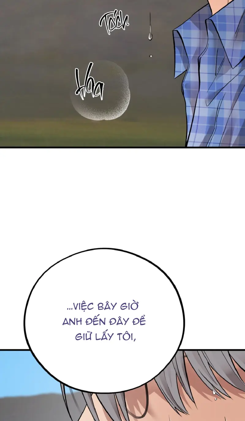 HONEY BEAR Chapter 77 - Next 