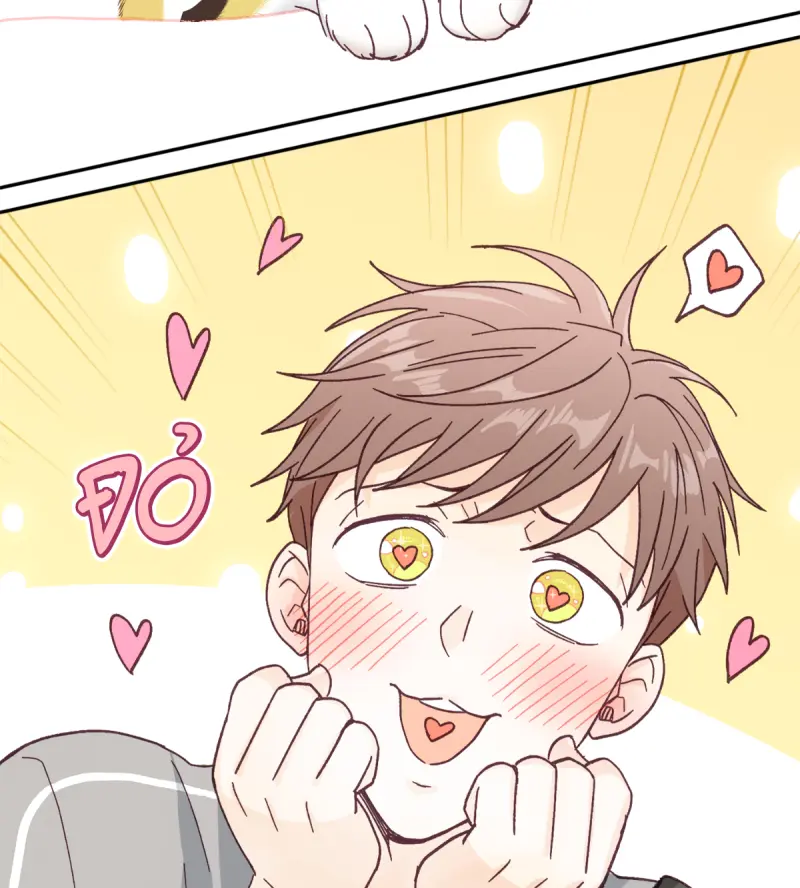 NGƯỜI HÀNG XÓM QUYẾN RŨ CỦA TÔI Chapter 7 - Next Chapter 8