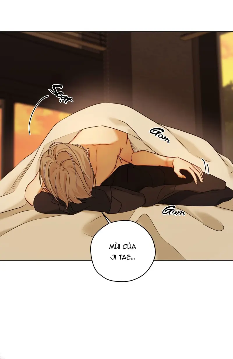 ÁI TÌNH VÀ DỤC VỌNG Chapter 64 - Next 