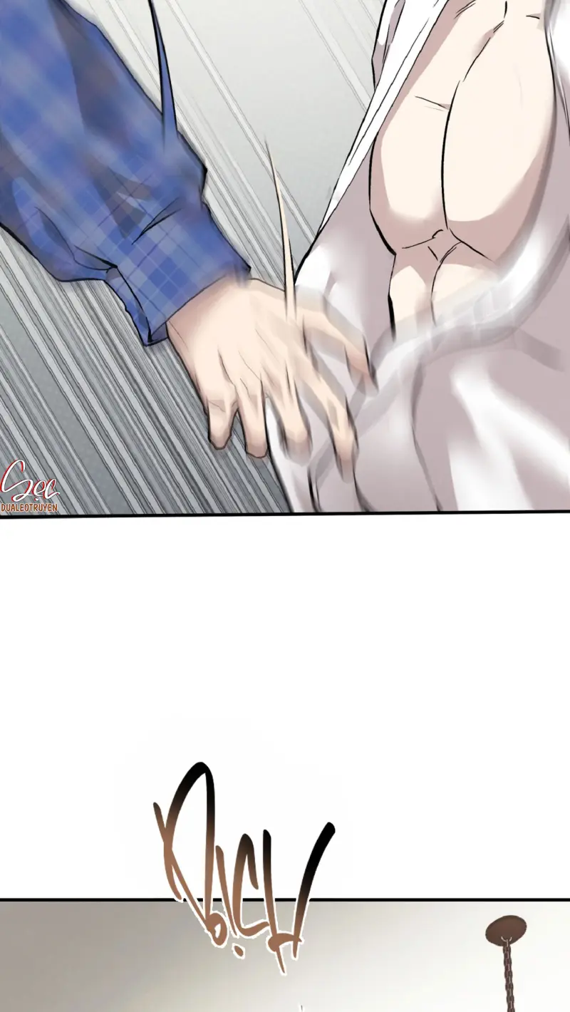 HONEY BEAR Chapter 77 - Next 