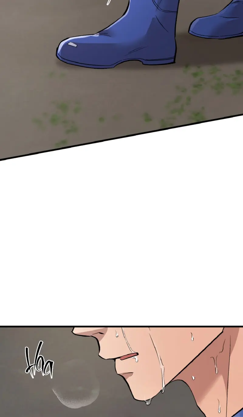 HONEY BEAR Chapter 77 - Next 