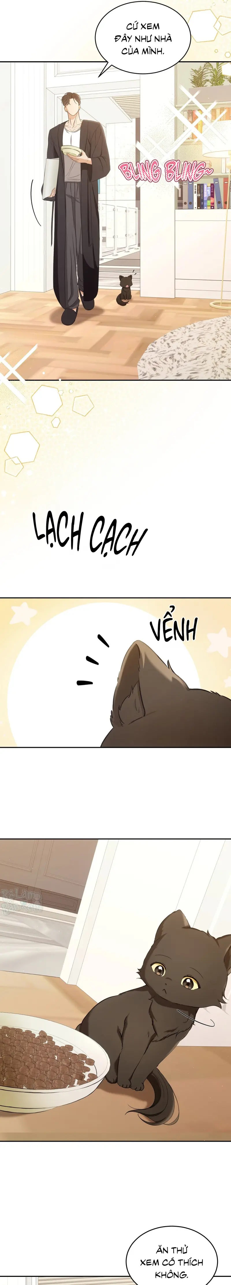 LIỆU PHÁP TRỊ LIỆU MÈO Chapter 2 - Trang 2