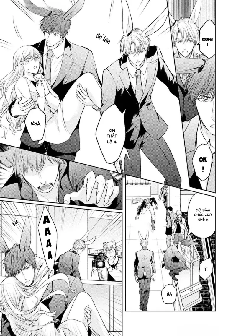 Đã Đến Lúc Cưng Chiều Rồi! Chapter 4 H - Next 