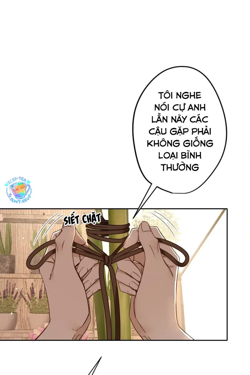 Ác linh Chapter 28 - Next 