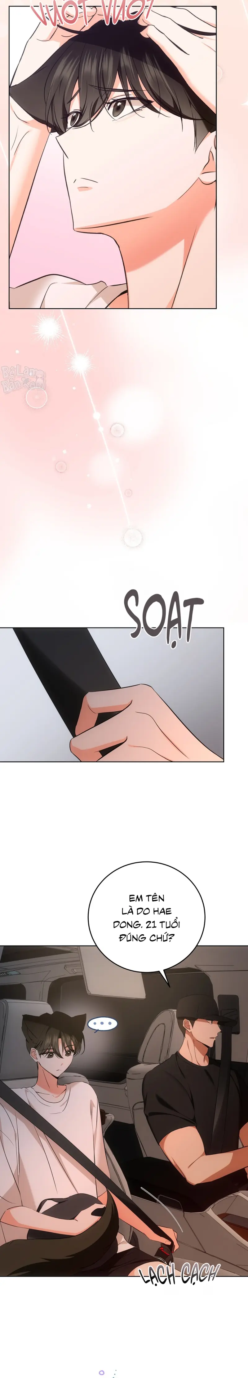 LIỆU PHÁP TRỊ LIỆU MÈO Chapter 5 - Next Chapter 6