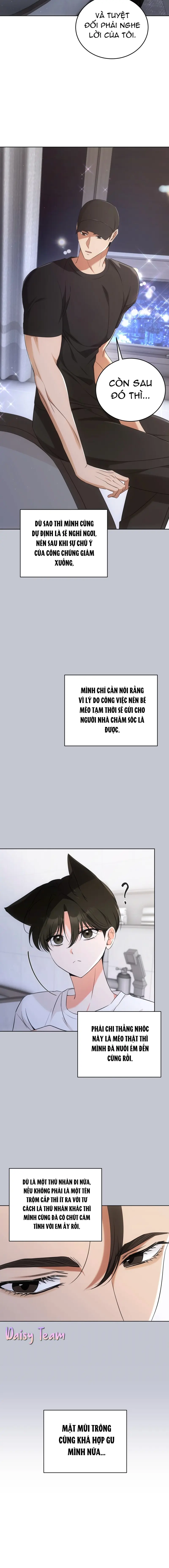 LIỆU PHÁP MÈO Chapter 6 - Next Chapter 7