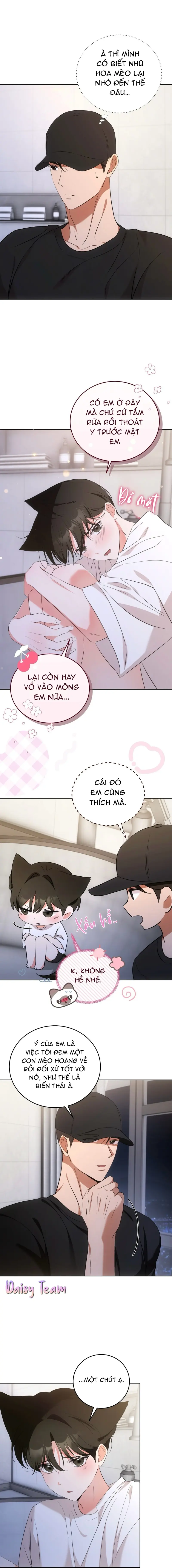 LIỆU PHÁP MÈO Chapter 6 - Next Chapter 7