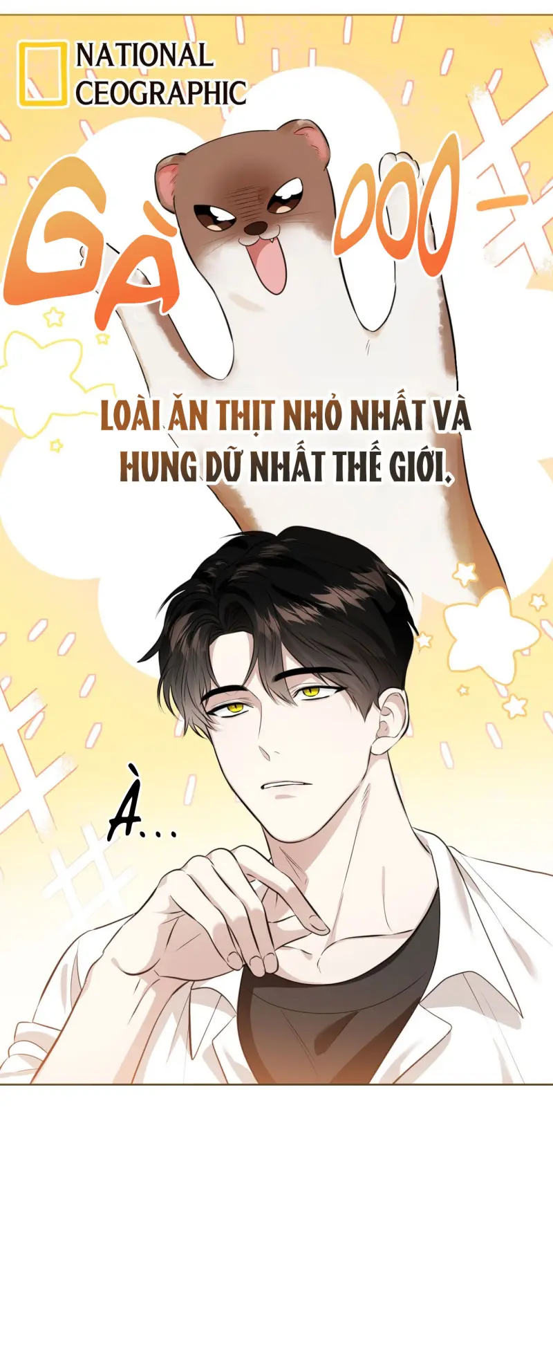 Cảnh báo: có thú dữ kìa Chapter 1 - Next Chapter 2