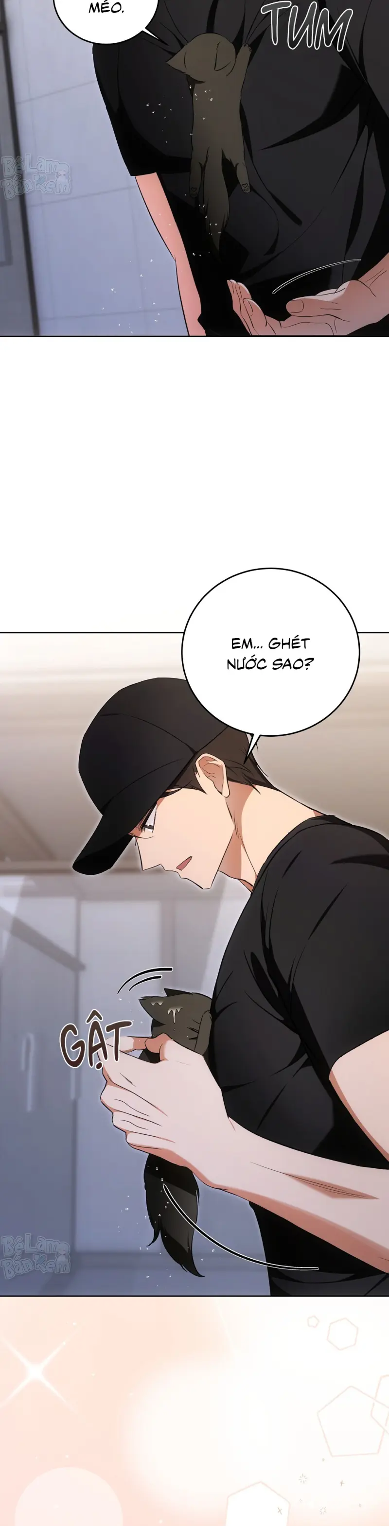 LIỆU PHÁP TRỊ LIỆU MÈO Chapter 6 - Next Chapter 7