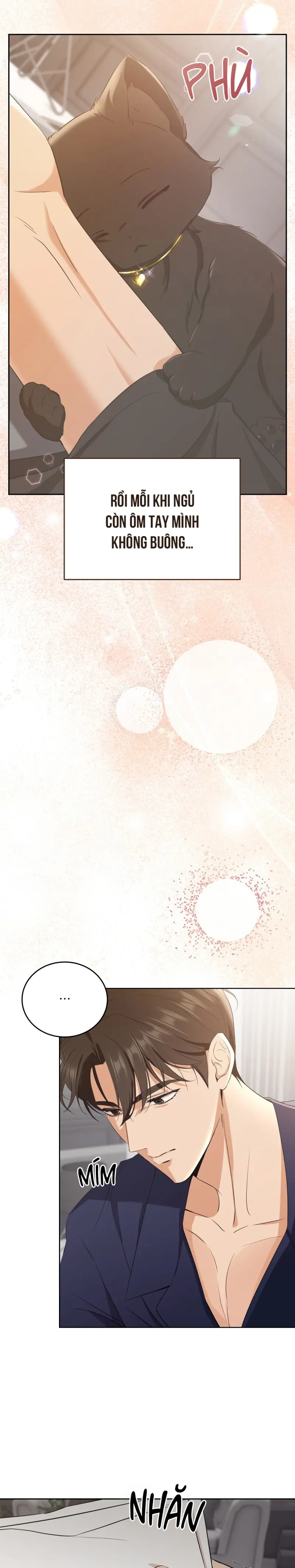 LIỆU PHÁP TRỊ LIỆU MÈO Chapter 4 - Trang 2